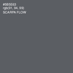 #5B5E63 - Scarpa Flow Color Image
